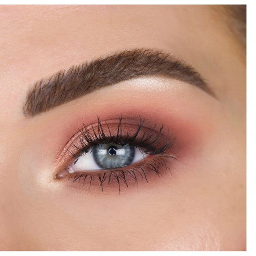 The Balm Male Order Eyeshadow Palette Domestic Male 13.2g